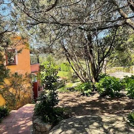 A Cala Di Volpe Immersa Nel Verde Arzachena